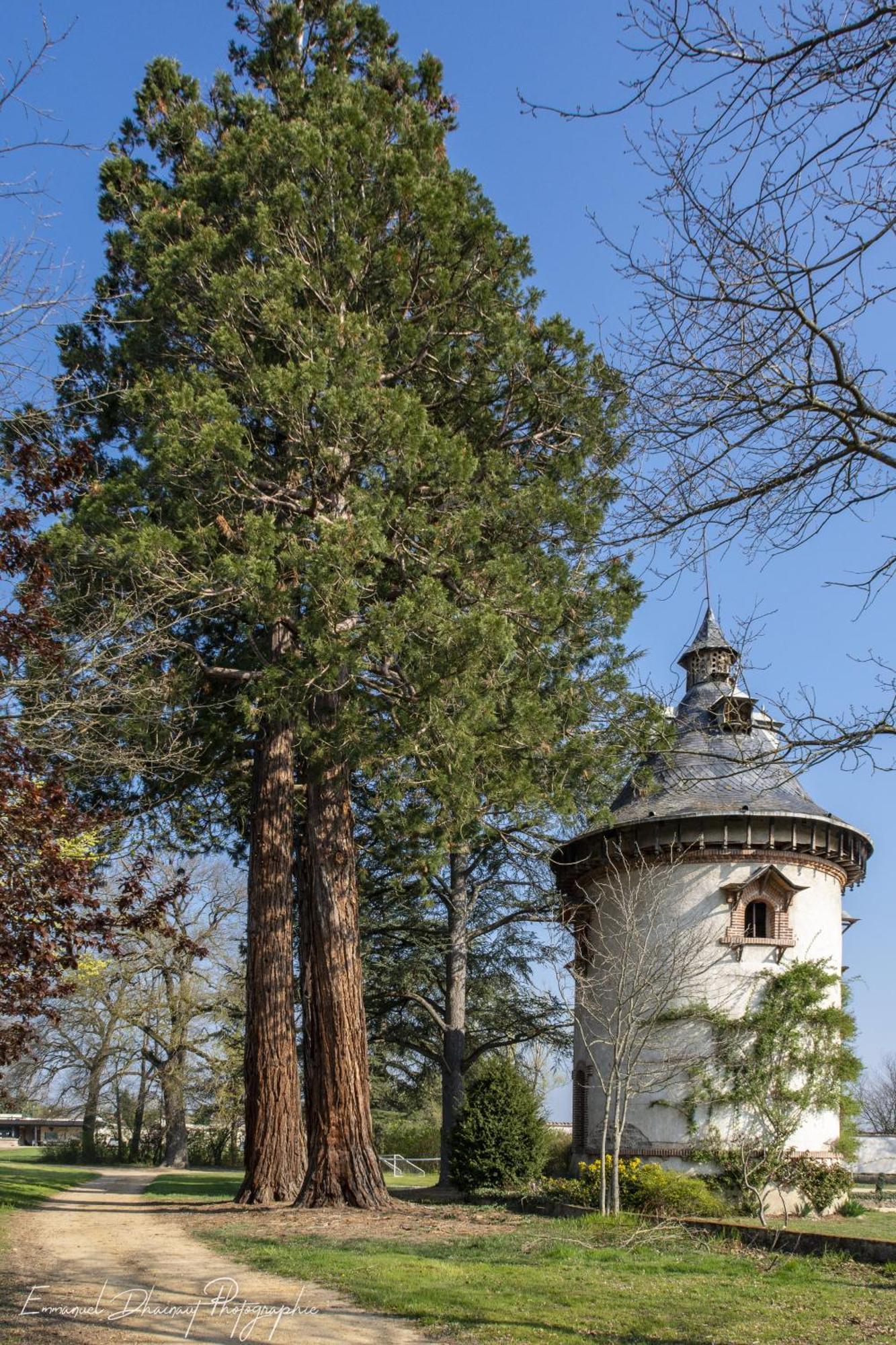 Bed and Breakfast Orangerie De Chatel-Selection Figaro & Elle Magazine Cleppe Экстерьер фото